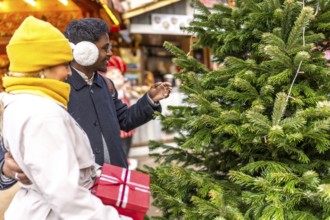 Diverse couple selecting a christmas tree at a festive outdoor market in paris, enjoying the winter