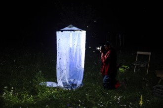 Person, biologist, butterfly researcher photographs an illuminated insect tent Light catch light at