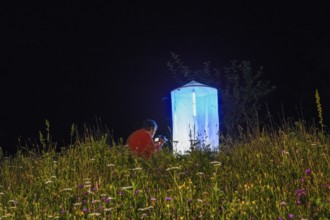 Person, biologist, butterfly researcher observing an illuminated tent Light catch full of insects