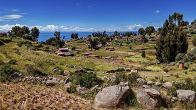 Hilly landscape with fields and huts near a blue lake, The countryside and farmhouses on Taquile
