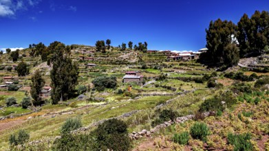 Staggered fields with huts under blue skies surrounded by vegetation, the countryside and