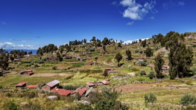 Terraced landscape with scattered huts and trees under bright skies, The countryside and farmhouses