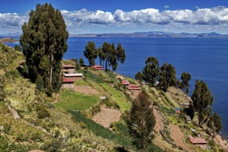 Cabins on terraces with trees and views of blue lake under clear skies, countryside and farmhouses