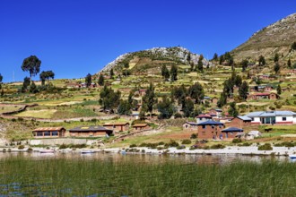 Idyllic village with lakeside farm houses and fields under blue skies, the countryside and