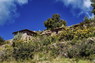 Stone farm houses on a hilly terrain with yellow flowers and trees under a blue sky, The