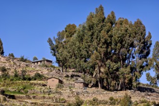 Houses and trees on a hill under clear blue skies surrounded by terraces, the countryside and