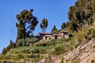 Stone farm houses on a hill surrounded by trees under a clear blue sky, the countryside and