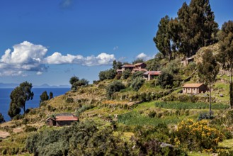 Several farm houses are perched on a green hill overlooking a blue sky and surrounded by