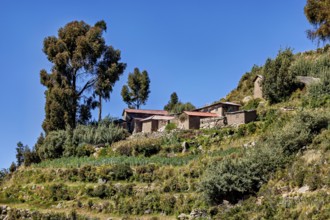 Some farm houses are on terraced slopes surrounded by lush vegetation and standing trees, The
