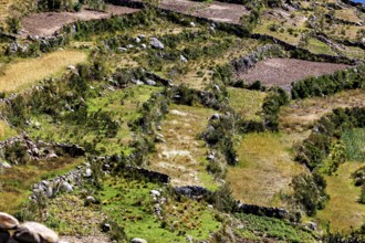 Close-up of terraced fields dotted with vegetation and surrounded by rock walls, the countryside
