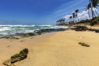 A sunny beach with palm trees on the ocean, waves meet the sand, blue sky, Koggala beach with stilt