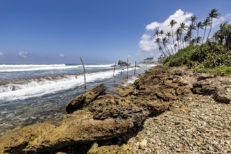 Rough beach with rocks, palm trees and waves in the midday sun, Koggala beach with stilt fishermen