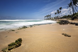 A sunny beach with palm trees and blue skies, waves hitting the shore, Koggala beach with stilt