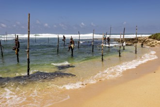 Fishermen sitting on stilts above sea in sunny skies, Koggala beach with stilt fishermen in Sri