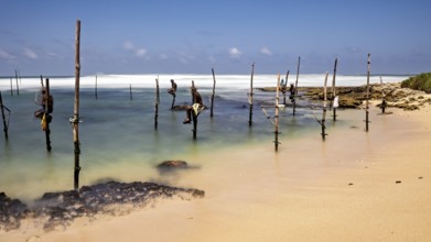 Fishermen on wooden posts in the turquoise water of a beach, Koggala beach with stilt fishermen in