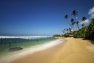Sunny beach with palm trees and calm sea under clear skies, Koggala beach with stilt fishermen in