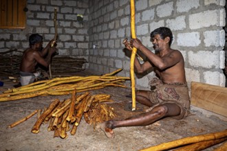 Two men create handmade products from yellow sticks in a traditional room, a man from Sri Lanka
