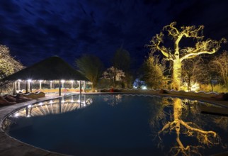 Planet Baobab swimming pool, lodge near the village of Gweta, Makgadikgadi Pans National Park,