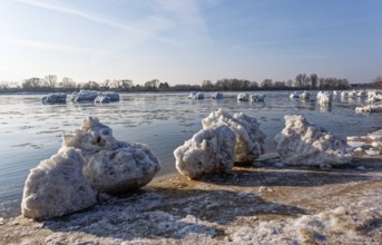 Ice skating on the Elbe with small icebergs on the water and on the banks of the Elbe Island near