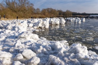 Many visitors look at the icebergs on the water of the Elbe and on the banks of the Elbe Island