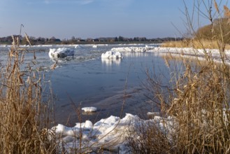 Ice flow on the Elbe in the area of the federal waterway near Geesthacht on a clear winter day.