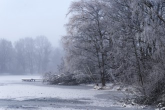 This winter day at the frozen Sandbrack Lake in Hamburg's Vier- und Marschlanden. Kirchwerder,