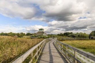 Naturum Hornborgasjön modern thatched building with glass front and thatched roof, which stands in