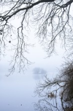 Ahlhorn fish ponds in fog, Ahlhorn, Lower Saxony, Germany