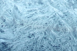 Beautiful ice flowers on a window, winter, Germany