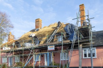 Thatcher at work replacing thatch ridge of thatched country pub building, Sorrel Horse, Shottisham,
