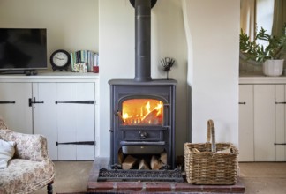 Logs burning in roaring fire of Clearview stove in domestic residential living room, UK