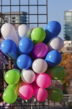 Close-up of colourful balloons inflated with helium gas and attached to black metal lattice support
