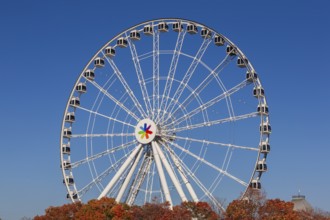 The Montreal Observation Ferris Wheel or La Grande Roue de Montreal amusement ride in autumn, Old