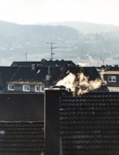 Smoke plume from a chimney over densely built residential area in the evening light, wintry city