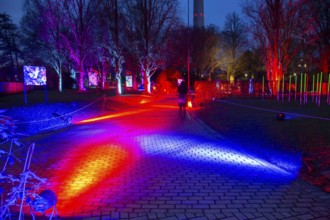 Winter lights in Luisenpark in Mannheim. Every year in January and early February, the park is