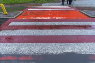 Zebra crossing marked in red and white, Krakow, Poland