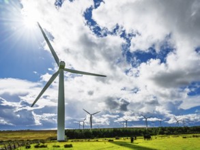 Wind Farm in southeast Scotland, UK