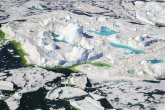 Aerial view of melting icepack and icebergs, Greenland (Kalaallit Nunaat), Arctic Ocean, climate