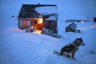 Tiniteqilaaq in a winter night, The village is one of five settlements around Ammassalik Island,