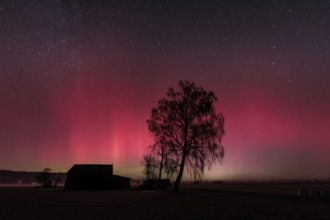 Northern lights, aurora borealis, solar storm, January 2026, red, green, hut, trees, birch,