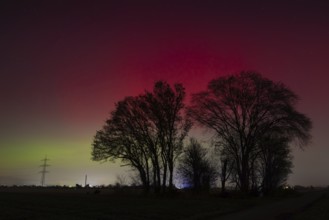 Northern lights (aurora borealis) glow red and green in the evening sky over Germany, Frankfurt am