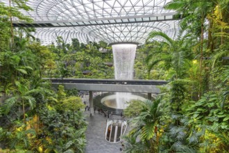 Forest Valley with Rain Vortex, world's tallest indoor waterfall at Jewel Changi Airport in the