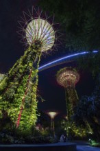 Supertree Grove, illuminated Supertrees towering over Gardens by the Bay, GBTB, urban park in the