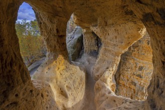 Klusfelsen, sandstone rock formation in Goslar near Halberstadt on the edge of the Harz Mountains,