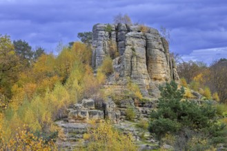 Klusfelsen, sandstone rock formation in Goslar near Halberstadt on the edge of the Harz Mountains