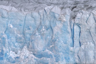 Ice wall of the Monacobreen, glacier in Haakon VII Land which debouches into Liefdefjorden,