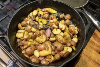 Denver, Colorado - Potatoes cooking on the stove for breakfast