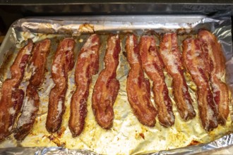 Denver, Colorado - Bacon cooking on the stove for breakfast