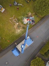 Scene shot from above with lift and vehicle while working on a tree, tree work, Gechingen, Calw