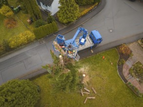 Aerial view of men on a lift working on a tree surrounded by a residential area, tree work,